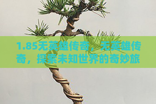 1.85无英雄传奇，无英雄传奇，探索未知世界的奇妙旅程