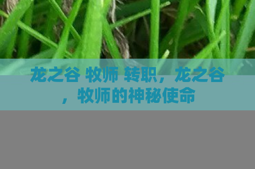 龙之谷 牧师 转职，龙之谷，牧师的神秘使命