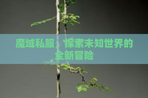 魔域私服，探索未知世界的全新冒险