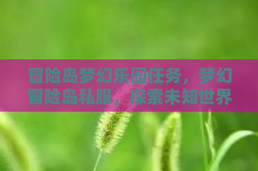 冒险岛梦幻乐园任务，梦幻冒险岛私服，探索未知世界的奇妙之旅