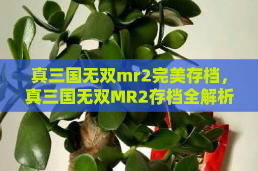 真三国无双mr2完美存档，真三国无双MR2存档全解析，解锁无限可能的战斗艺术