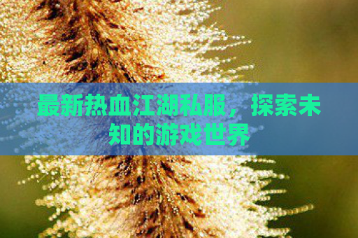 最新热血江湖私服，探索未知的游戏世界