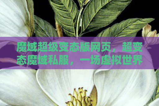 魔域超级变态版网页，超变态魔域私服，一场虚拟世界的冒险之旅