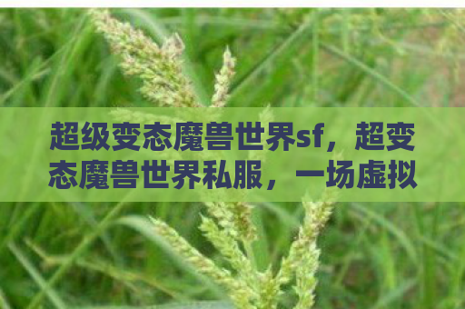 超级变态魔兽世界sf，超变态魔兽世界私服，一场虚拟世界的狂欢与反思