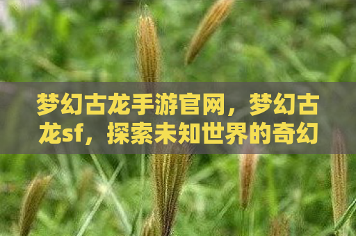 梦幻古龙手游官网，梦幻古龙sf，探索未知世界的奇幻之旅