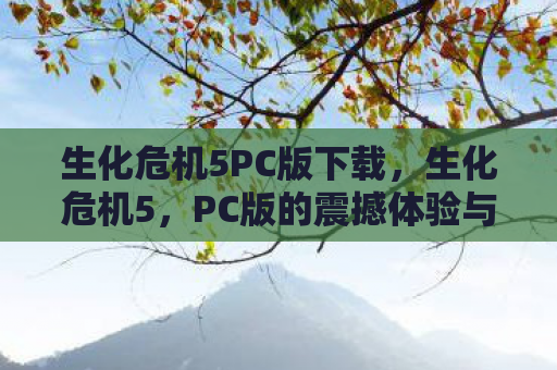 生化危机5PC版下载，生化危机5，PC版的震撼体验与经典再现