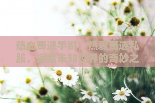 热血奇迹手游，热爱奇迹私服，探索未知世界的奇妙之旅