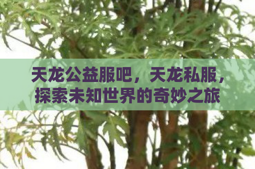 天龙公益服吧，天龙私服，探索未知世界的奇妙之旅