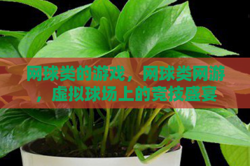 网球类的游戏，网球类网游，虚拟球场上的竞技盛宴