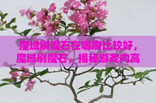 魔域刷魔石在哪刷比较好，魔域刷魔石，揭秘游戏内高效赚钱技巧