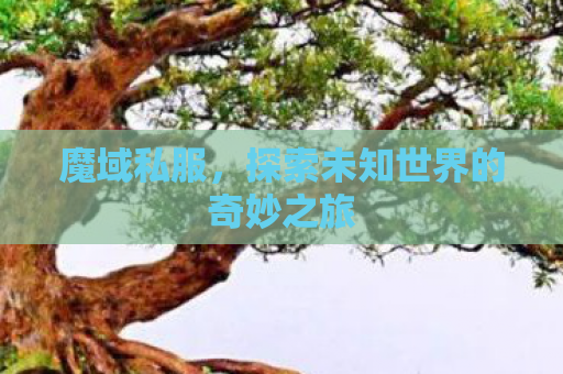 魔域私服，探索未知世界的奇妙之旅