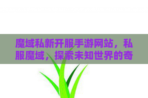 魔域私新开服手游网站，私服魔域，探索未知世界的奇幻之旅