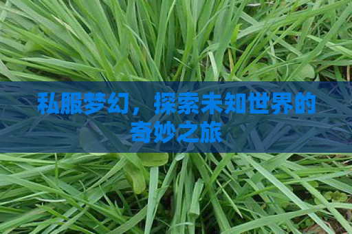 私服梦幻，探索未知世界的奇妙之旅