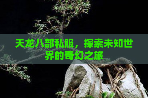 天龙八部私服，探索未知世界的奇幻之旅