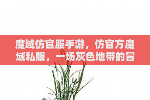 魔域仿官服手游，仿官方魔域私服，一场灰色地带的冒险