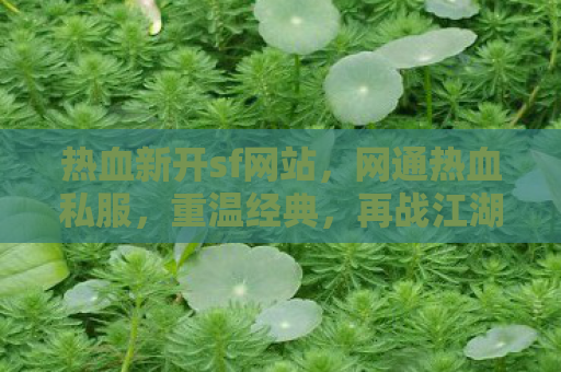 热血新开sf网站，网通热血私服，重温经典，再战江湖