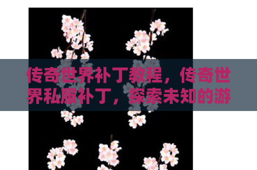 传奇世界补丁教程，传奇世界私服补丁，探索未知的游戏世界