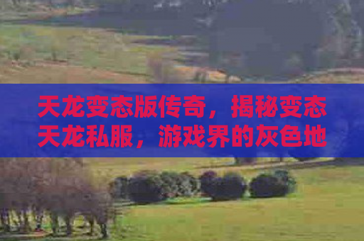 天龙变态版传奇，揭秘变态天龙私服，游戏界的灰色地带