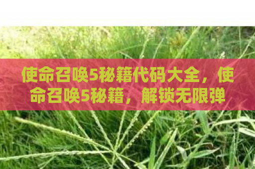 使命召唤5秘籍代码大全，使命召唤5秘籍，解锁无限弹药与更多游戏技巧