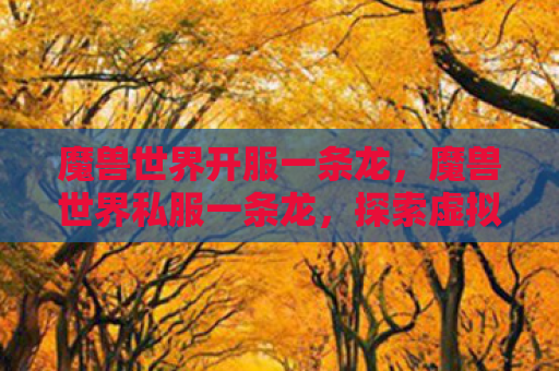 魔兽世界开服一条龙，魔兽世界私服一条龙，探索虚拟世界的无限可能
