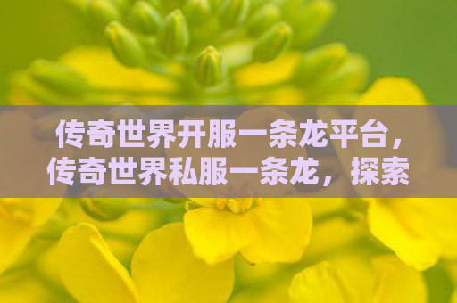 传奇世界开服一条龙平台，传奇世界私服一条龙，探索未知的游戏世界
