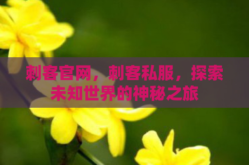 刺客官网，刺客私服，探索未知世界的神秘之旅