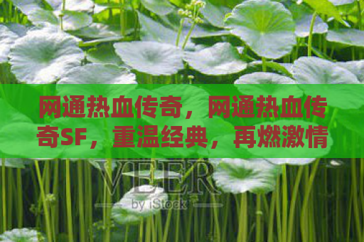 网通热血传奇，网通热血传奇SF，重温经典，再燃激情