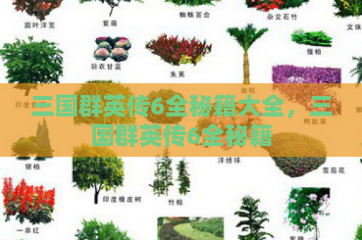 三国群英传6全秘籍大全，三国群英传6全秘籍