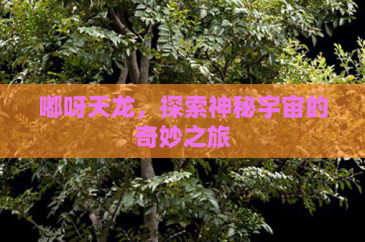 嘟呀天龙，探索神秘宇宙的奇妙之旅