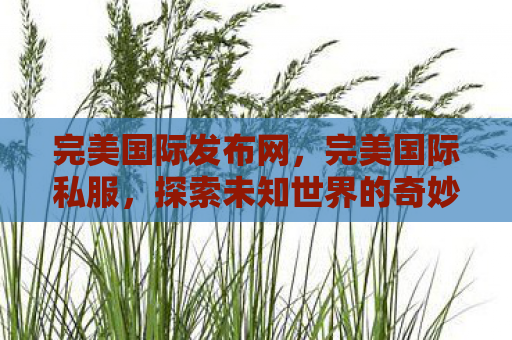 完美国际发布网，完美国际私服，探索未知世界的奇妙之旅