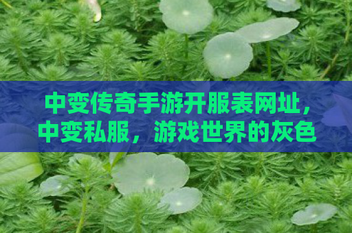 中变传奇手游开服表网址，中变私服，游戏世界的灰色地带