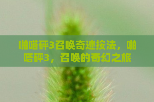 啪嗒砰3召唤奇迹按法，啪嗒砰3，召唤的奇幻之旅