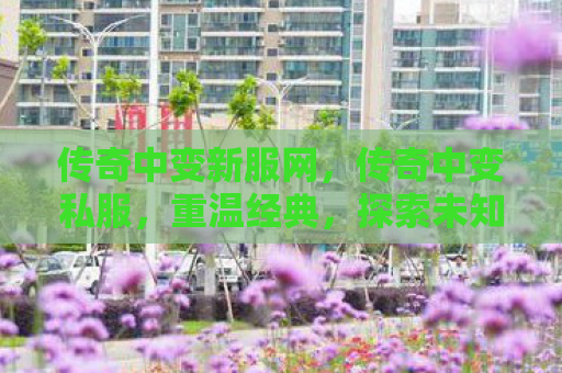 传奇中变新服网，传奇中变私服，重温经典，探索未知