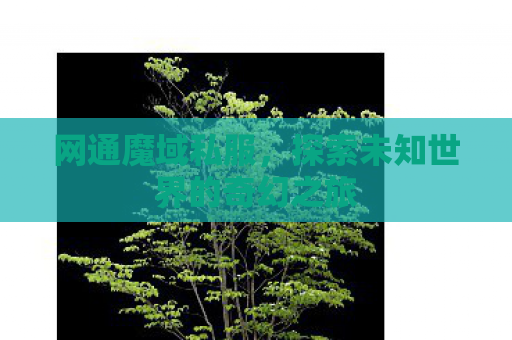 网通魔域私服，探索未知世界的奇幻之旅