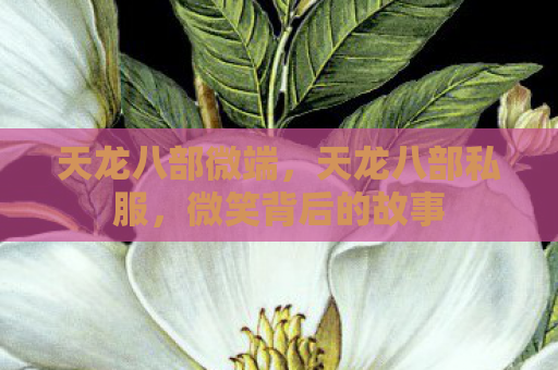 天龙八部微端，天龙八部私服，微笑背后的故事