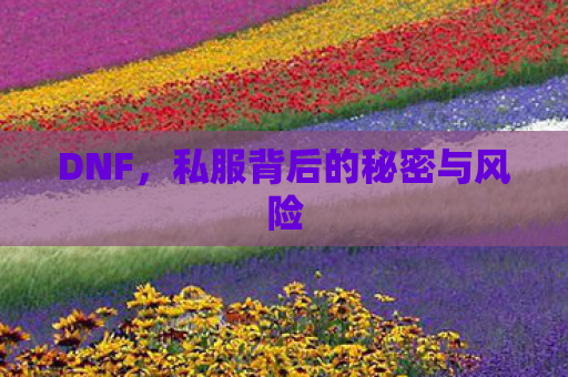 DNF，私服背后的秘密与风险