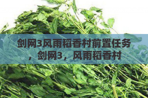 剑网3风雨稻香村前置任务，剑网3，风雨稻香村
