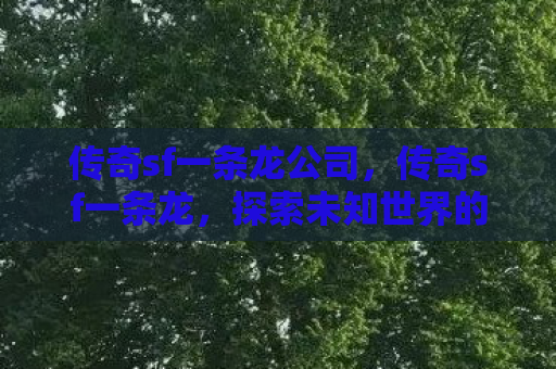 传奇sf一条龙公司，传奇sf一条龙，探索未知世界的奇幻之旅