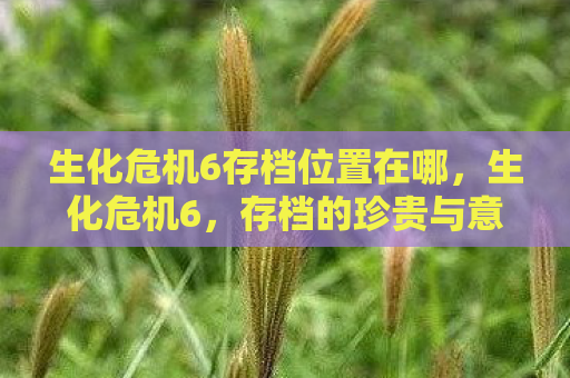 生化危机6存档位置在哪，生化危机6，存档的珍贵与意义