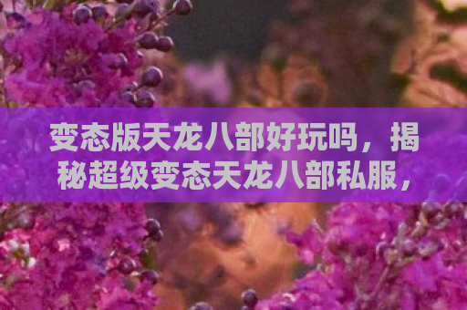 变态版天龙八部好玩吗，揭秘超级变态天龙八部私服，游戏背后的灰色世界