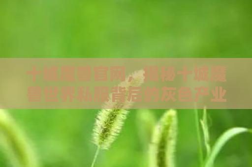 十城魔兽官网，揭秘十城魔兽世界私服背后的灰色产业链