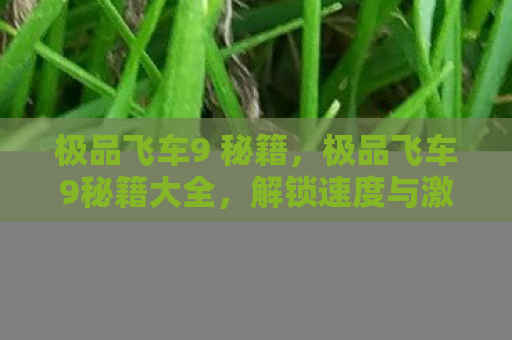 极品飞车9 秘籍，极品飞车9秘籍大全，解锁速度与激情的终极秘籍