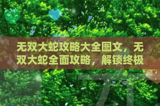 无双大蛇攻略大全图文，无双大蛇全面攻略，解锁终极战斗技巧