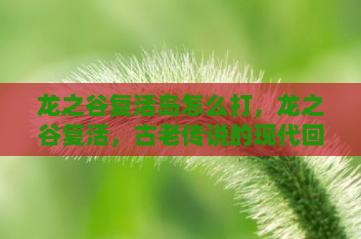 龙之谷复活岛怎么打，龙之谷复活，古老传说的现代回响