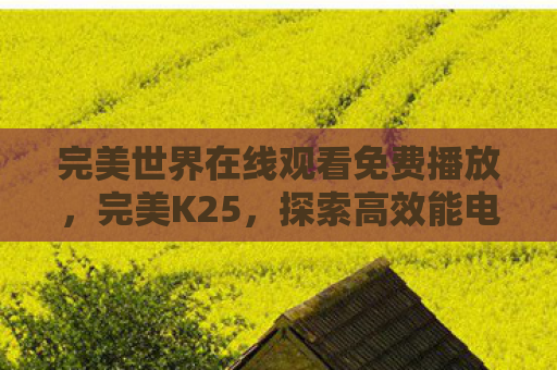 完美世界在线观看免费播放，完美K25，探索高效能电动滑板车的奥秘