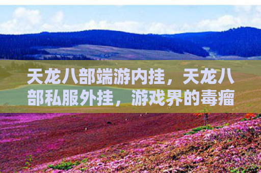 天龙八部端游内挂，天龙八部私服外挂，游戏界的毒瘤