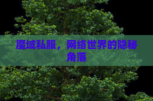 魔域私服，网络世界的隐秘角落