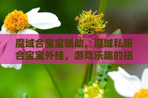 魔域合宝宝辅助，魔域私服合宝宝外挂，游戏乐趣的扭曲与反思