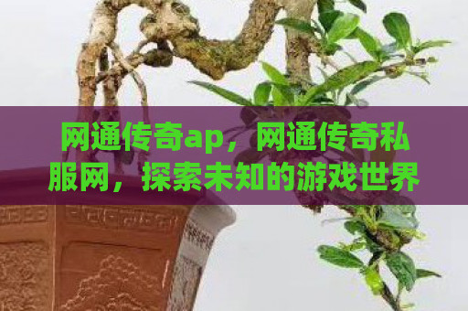 网通传奇ap，网通传奇私服网，探索未知的游戏世界