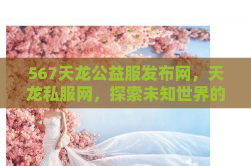 567天龙公益服发布网，天龙私服网，探索未知世界的神秘之旅